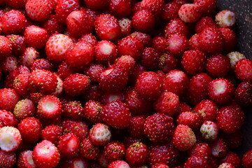 wild strawberry background of fresh forest berries