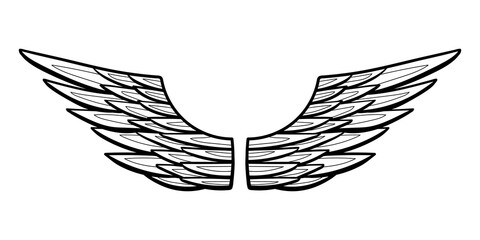 Fototapeta premium Angel or bird wings abstract sketch isolated on white. vector doodle illustration. For your design
