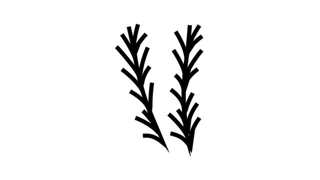 rosemary spice aromatherapy animated color icon. rosemary spice aromatherapy sign. isolated on white background