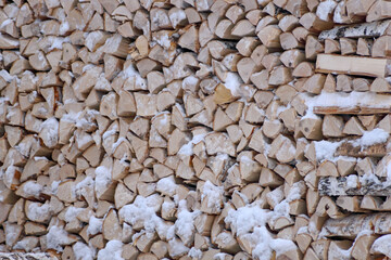 Birch wood is stored in a woodpile for drying