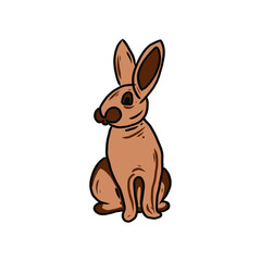 rabbit hand drawing illustration