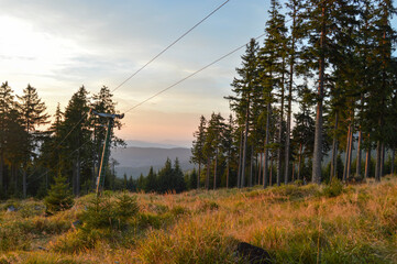 sunset in the forest in the mountains