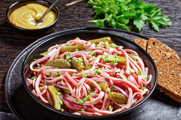German wurstsalat of sausage and pickled cucumbers