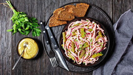German wurstsalat of sausage and pickled cucumbers
