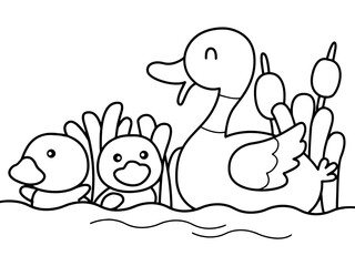 Family of duck swim in a pool