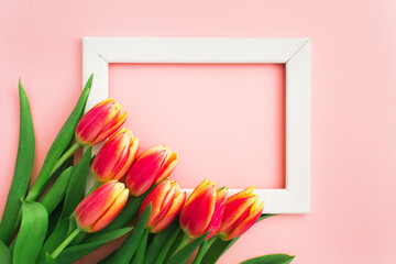 Beautiful pink and yellow tulips in bouquet over white background