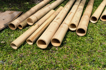 Stack of bamboo poles drying on the grass under the sun for building outdoor bamboo hub.