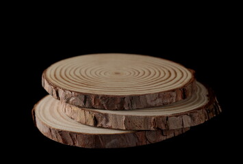 Tree trunks cross section, wooden stumps isolated on white background