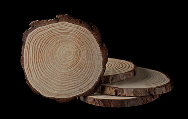 Tree trunks cross section, wooden stumps isolated on white background