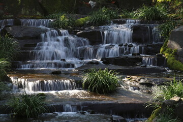 Obraz premium 日本庭園
