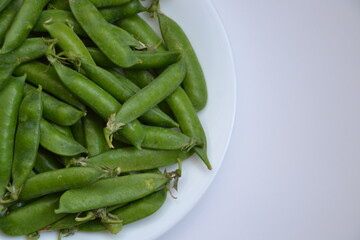 Green pea pods from farmland. Pea freshly picked. Organic spring pea pods. Fresh vegetables. Healthy eating. Country garden harvest.