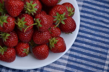 Strawberry from country garden. Freshly picked strawberries. Organic berries. Ripe sweet fruit on blue napkin. Village garden harvest.