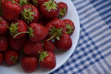 Strawberry from country garden. Freshly picked strawberries. Organic berries. Ripe sweet fruit on blue napkin. Village garden harvest.