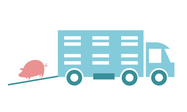 Truck for transporting livestock and pigs with the image of a pink pig with a tag on the ear. Color illustration in green and gray. Flat vector image.