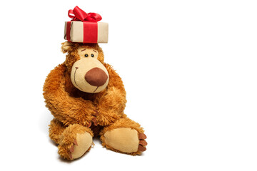 Teddy bear with a gift on his head, isolate