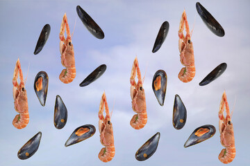 shellfish open mussels and scampi shellfish open mussels and scampi