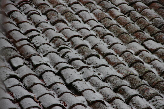 to&icirc;t vace de la neige
