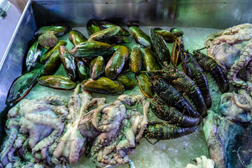 Closeup of fresh seafood on the fish market counter