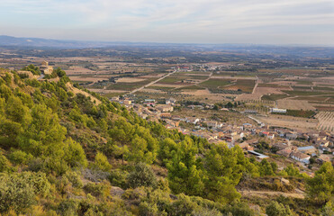 Obraz premium View of vineyards fields of Somontano PDO, Huesca province, Spain
