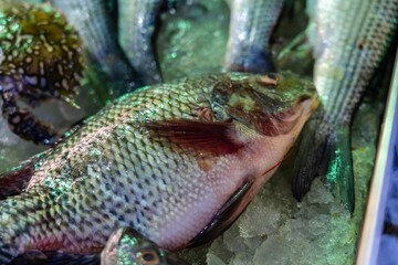 Closeup of variety of fish on the fish market counter