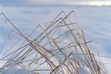 Gras Gräser WInter Frost Halme gefroren WInkel abgeknickt dreieckig Dreiecke Form Geometrie Eis Kristalle Makro Kälte Morgen abstrakt Hintergrund Nahaufnahme Sonne Gegenlicht Umriss Grashalme 