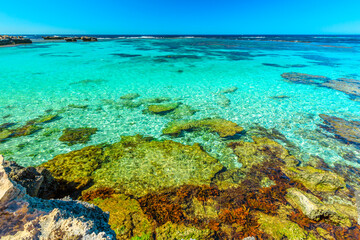 Fototapeta na wymiar Rottnest Island, Western Australia. Scenic view from cliffs over tropical reef of Little Salmon Bay, a paradise for snorkeling, swimming and sunbathing. Tourism in Perth. Turquoise crystal clear sea.