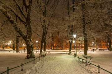 Cracow's Plany in snow