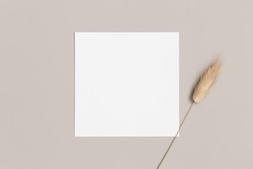 Square invitation card mockup with a lagurus on a beige table.