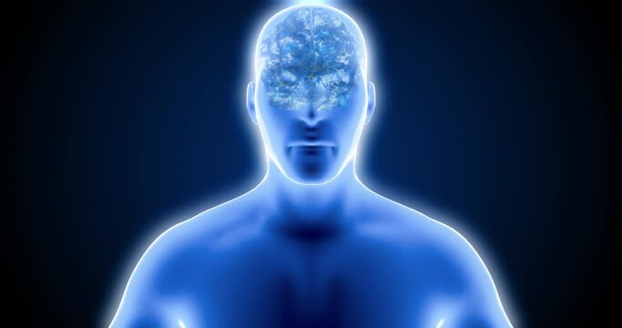 Inside the brain, neurons, the work of neurons, neuroplasticity, brain scan