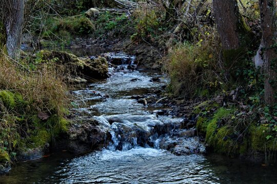 A brook in Bad Urach Germany.

