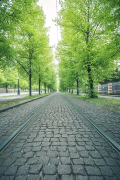 Tramway rails with cobblestone in Prague, Czech republic in spring