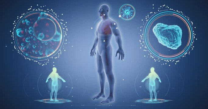 body scan, viruses, highly detailed anatomy, covid, medical screen 3D render, human anatomy, computer anatomy, body skeleton, X-ray scan
