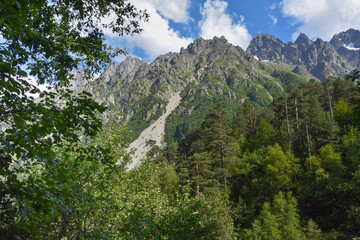 Fototapeta na wymiar Mountain forest on a sunny summer day in the Tsey gorge, Russia, North Ossetia