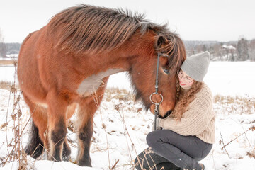 Icelandic horse in wintery scene in Finland