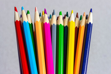 Colored pencils standing in a row on a gray background.