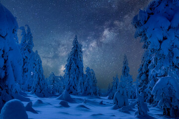 night winter landscape with snow