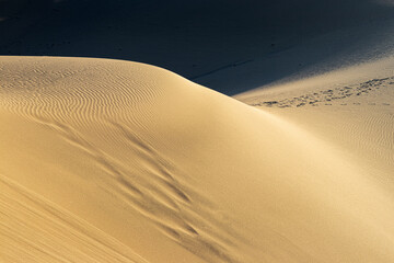 Sunset in the dunes of Maspalomas in Grand Canaria