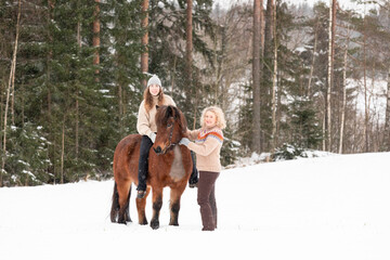  Icelandic horse in wintery scene in Finland