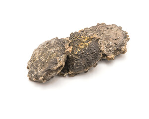 Three gac seeds (momordica cochinchinensis) isolated on white background