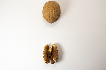 Walnuts on white isolated background with place for text
