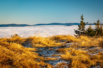 mountain in the morning
