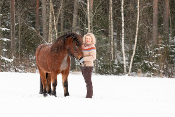 Icelandic horse in wintery scene in Finland