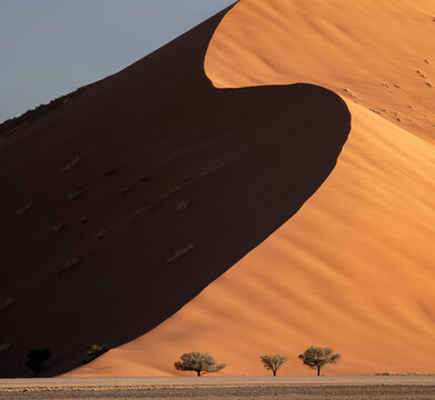 Gro&szlig;e Sandd&uuml;ne im Sonnenuntergang in der Sossusvlei Ebene in der Namib W&uuml;ste, der &auml;ltesten W&uuml;ste der Welt, Namibia.