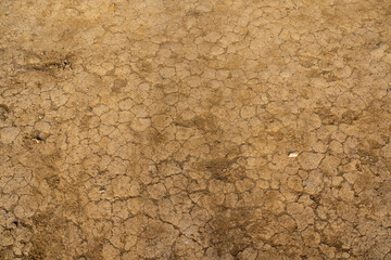 Texture: Soiled ground with cracks