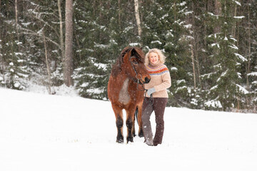 Icelandic horse in wintery scene in Finland