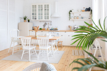 cute cozy light interior design of the apartment with a free layout of the kitchen and bedroom areas. a lot of windows, a wooden floor and a hanging swing.