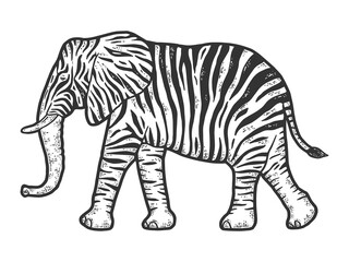 fictional animal zebra elephant. Engraving raster illustration.