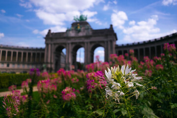 Flores sobre el arco de triunfo en el parque del cincuentenario en Bruselas., Bélgica