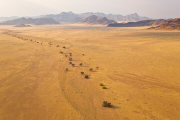 Fototapeta na wymiar Sossus Vlei Sesriem Desierto Namib Namibia Africa
