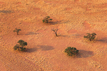 Sossus Vlei Sesriem Desierto Namib Namibia Africa